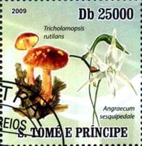 This mushroom on a stamp