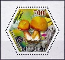 This mushroom on a stamp