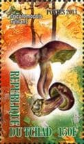 This mushroom on a stamp