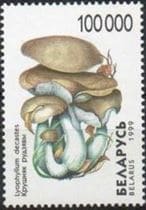 This mushroom on a stamp