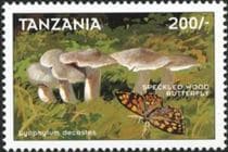 This mushroom on a stamp