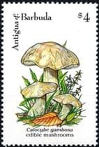 This mushroom on a stamp