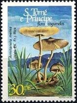 This mushroom on a stamp