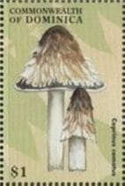 This mushroom on a stamp