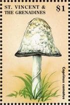 This mushroom on a stamp