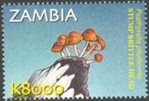 Pilz auf Briefmarke
