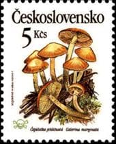 This mushroom on a stamp