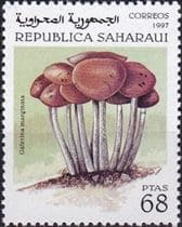 This mushroom on a stamp