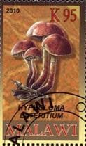 This mushroom on a stamp