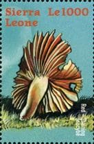 This mushroom on a stamp